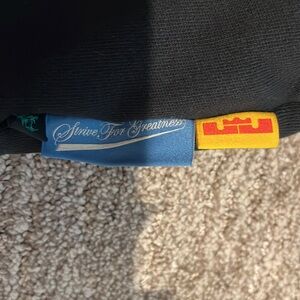 Nike strive for greatness (lebron) sweats